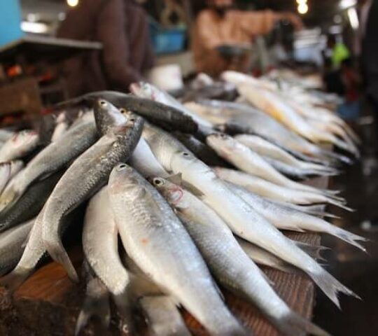Mablue Fish Market